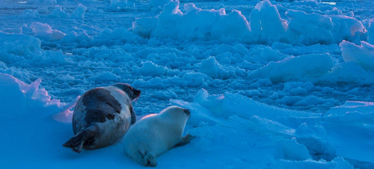 iles de la Madeleine, Quebec