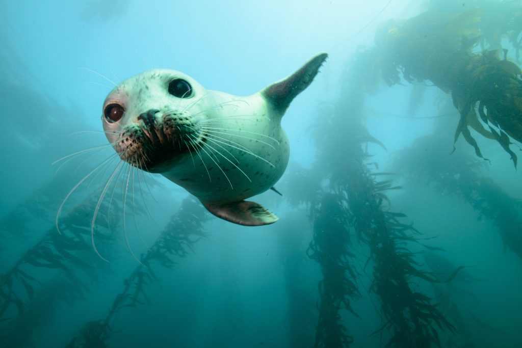 Photo: Clinton Bauder