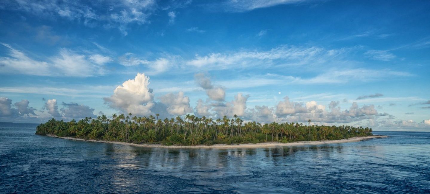 <a href=%e2%80%9c-2.html target="“_blank”" rel="noopener noreferrer">Photo: Cristina Mittermeier/SeaLegacy</a>