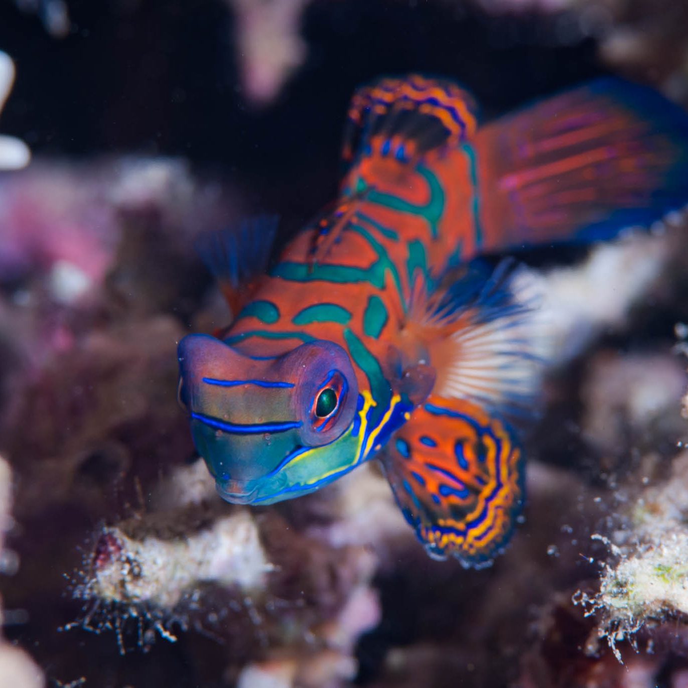 <a href=index-360.html target="_blank" rel="noopener noreferrer">Photo: Clinton Bauder</a>