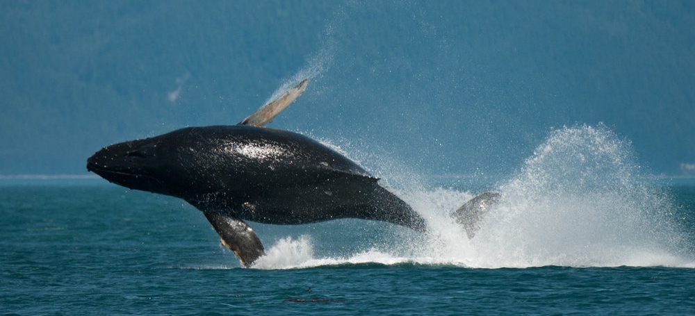 <a href=index-209.html target="_blank" rel="noopener noreferrer">Photo: Clinton Bauder</a>