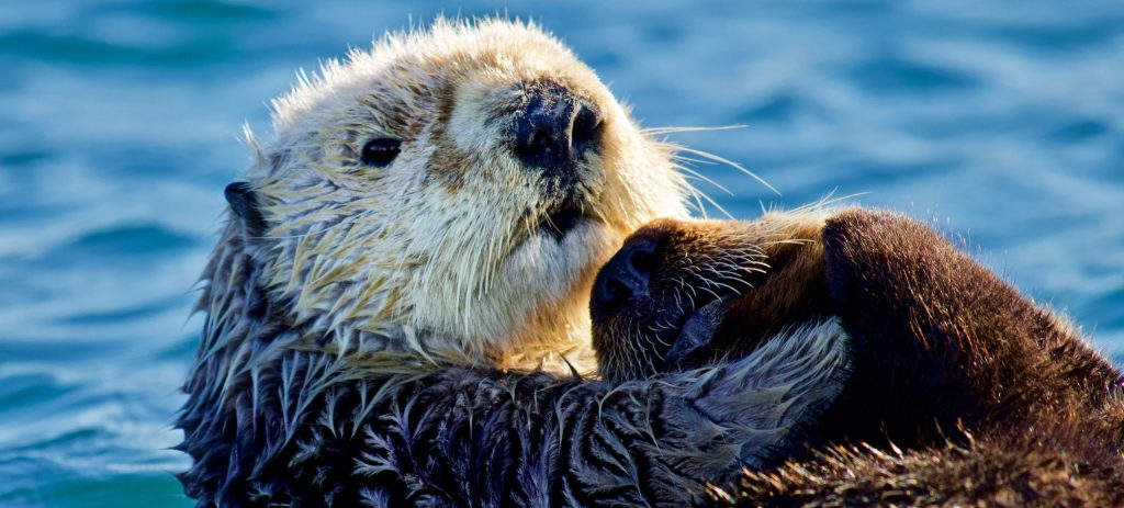 MCI photo contest winner 2020