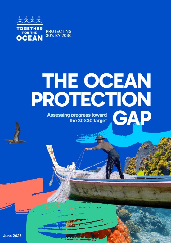 TheOceanProtectionGap