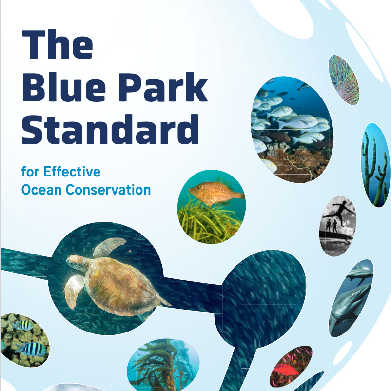 Screenshot 2025-12-09 at 1.01.26 PM