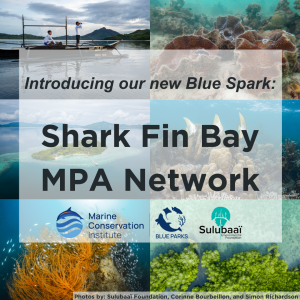 Shark Fin Bay MPA Network named a Blue Spark