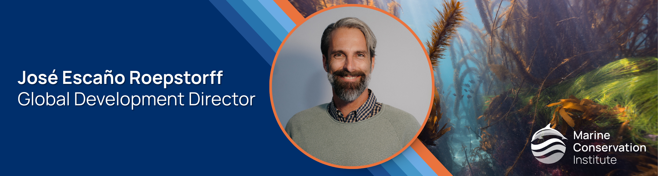 Untitled (2240 x 600 px)